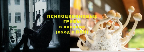 СК Алексин