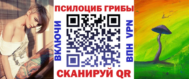 Галлюциногенные грибы прущие грибы  Кисловодск 